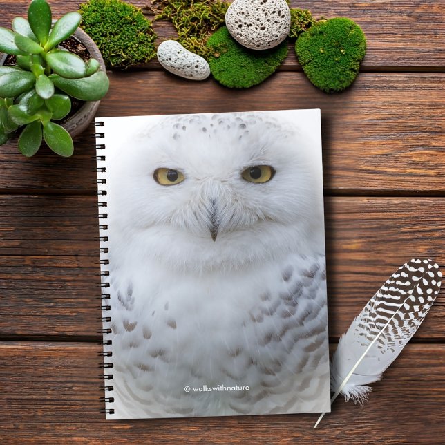 Caderno Espiral Bonita, Dreamy e Serene Snowy Owl (Beautiful and Serene Snowy Owl Journal Cover Photo)