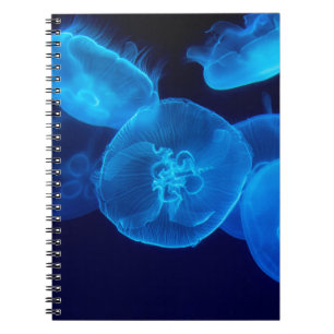 CADERNO ESPIRAL BONITA PEIXE