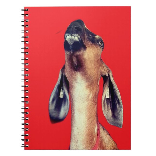 Caderno Espiral Bonitão (Frente)