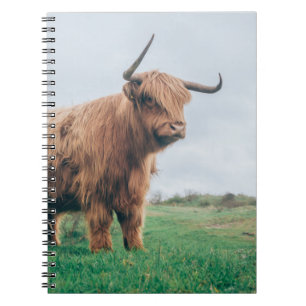 CADERNO ESPIRAL BONITO BOVINO DE HIGHLAND