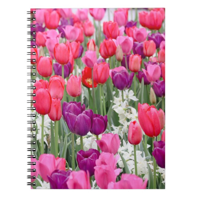 Caderno Espiral Bonito em Petais Rosa (Frente)