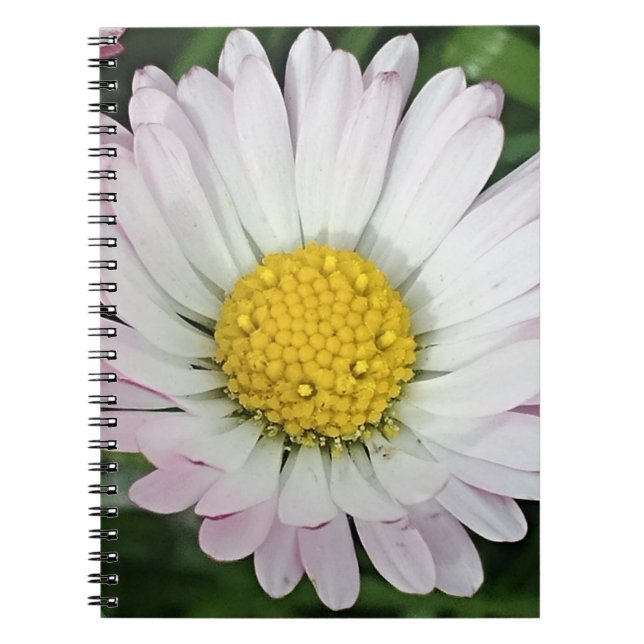 Caderno Espiral Bonito margarida (Frente)