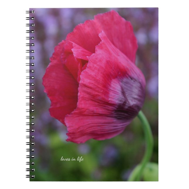 Caderno Espiral Bonito PInk e Flor de Papoila Roxo (Frente)