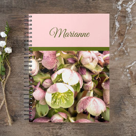 Caderno Espiral Bonito rosa personalizado e abrigo oliva