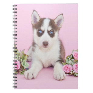 Caderno Espiral Bonito Rouco com Rosas Rosa