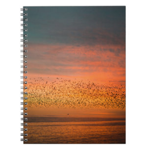 CADERNO ESPIRAL BONITO SOL COM AVES