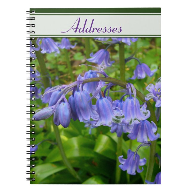 Caderno Espiral Bonnie Bluebell (Frente)