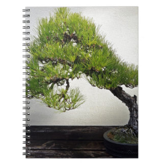 Caderno Espiral Bonsais japoneses do pinho preto