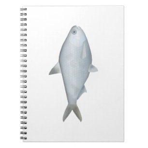 Caderno Espiral Bony Bream