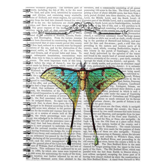 Caderno Espiral Borboleta 2 (Frente)