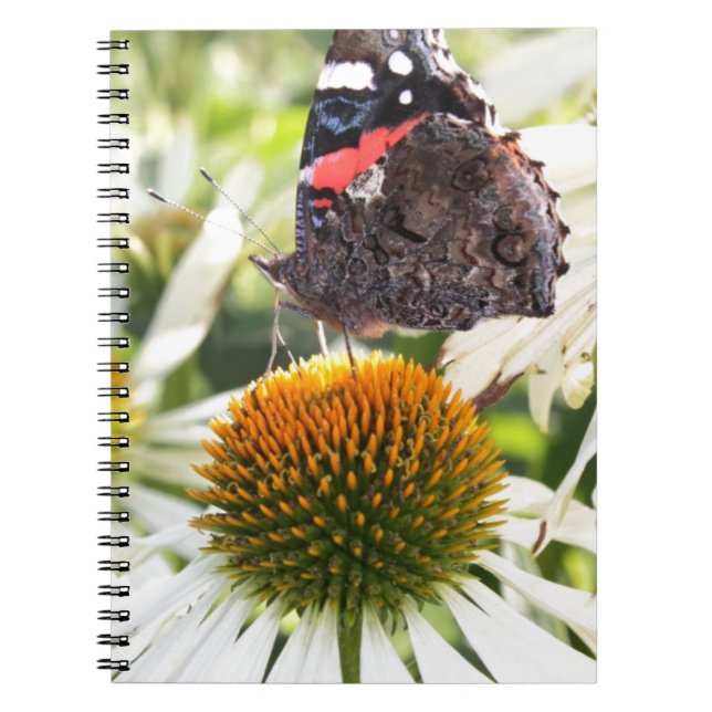 Caderno Espiral Borboleta Almirante na Flor (Frente)