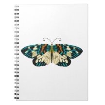 Borboleta Art nouveau