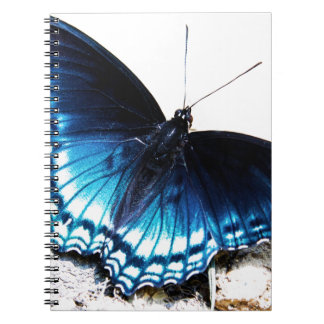 Caderno Espiral Borboleta azul bonita