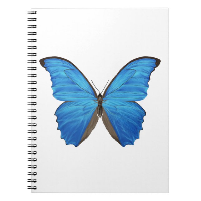 Caderno Espiral Borboleta azul de Morpho (Frente)