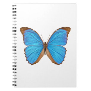 Caderno Espiral Borboleta azul de Morpho (Menelaus Morpho azul,