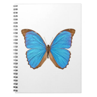 Caderno Espiral Borboleta azul de Morpho (Menelaus Morpho azul,
