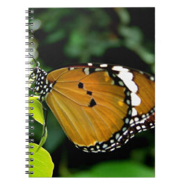 Caderno Espiral Borboleta branca, cor-de-laranja, preta e branca, 