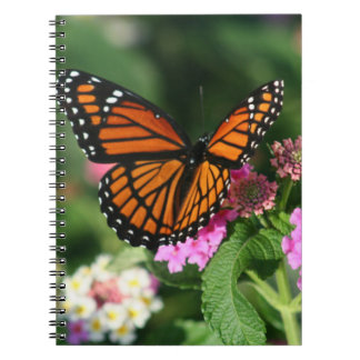 Caderno Espiral Borboleta de monarca no Lantana Flowers.Notebook