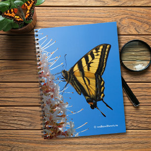 Caderno Espiral Borboleta do Swallowtail de Tigre Ocidental no Buc