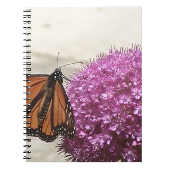 Caderno Espiral Borboleta e Cebola gigante (Frente)