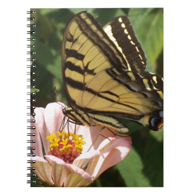 Caderno Espiral Borboleta e Flor (Frente)