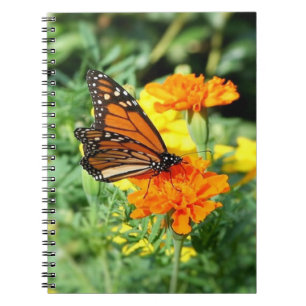 Caderno Espiral Borboleta e Marigold Flower Garden