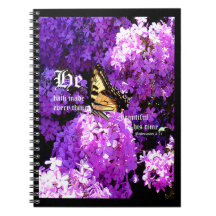 Borboleta e Phlox, Eclesias 3:11