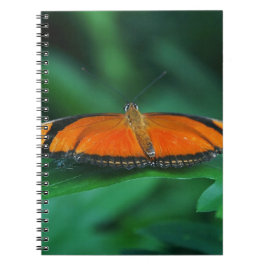 Caderno Espiral Borboleta Laranja Brilhante e Preta na Folha