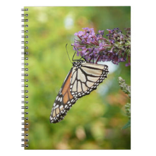 Caderno Espiral Borboleta Monarca em Borboleta Roxa Bush