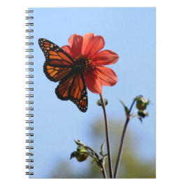 Caderno Espiral Borboleta Monarca em Dahlia