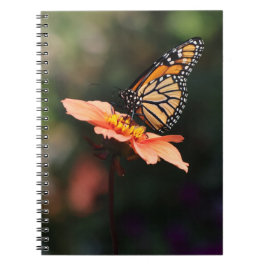 Caderno Espiral Borboleta Monarca em Verbena & Dahlia