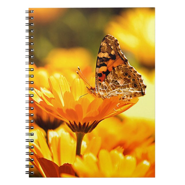 Caderno Espiral Borboleta na flor (Frente)