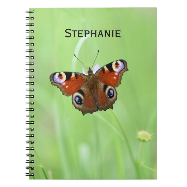 Caderno Espiral Borboleta-pavão (Frente)