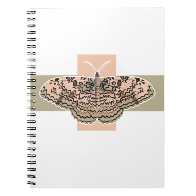 Caderno Espiral Borboleta rosa (Frente)