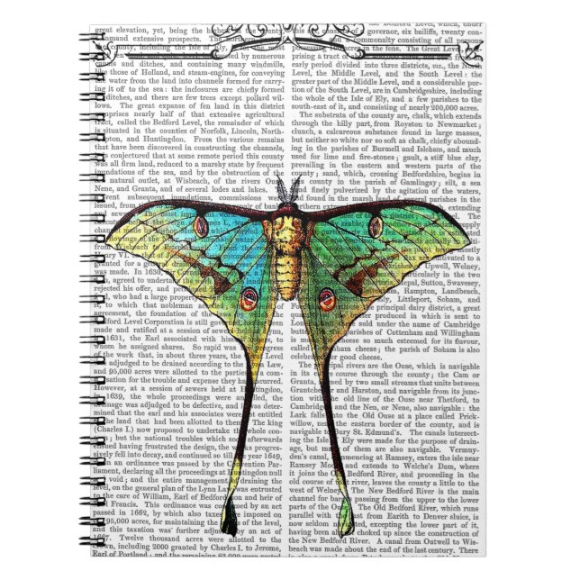 Caderno Espiral Borboleta vibrante (Frente)