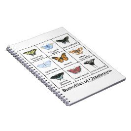 Caderno Espiral Borboletas de Chautauqua