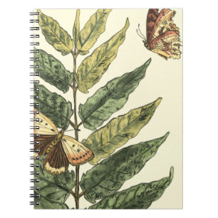 Caderno Espiral Borboletas e folhas com quadro preto