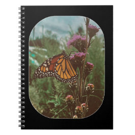 Caderno Espiral borboletas laranja