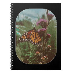 Caderno Espiral borboletas laranja