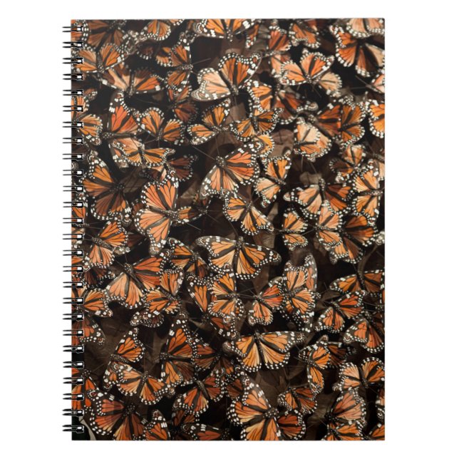 Caderno Espiral Borboletas Monarcas (Frente)