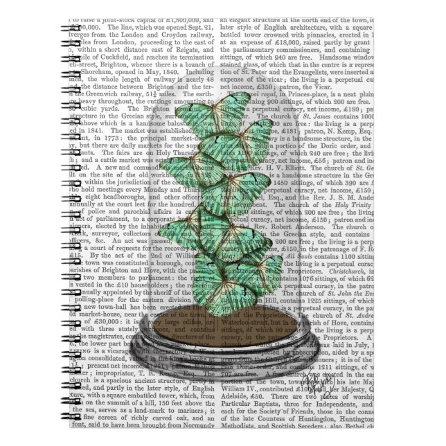 Caderno Espiral Borboletas verdes na barra 2 (Frente)