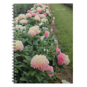 Caderno Espiral Borda Rosa de Peony