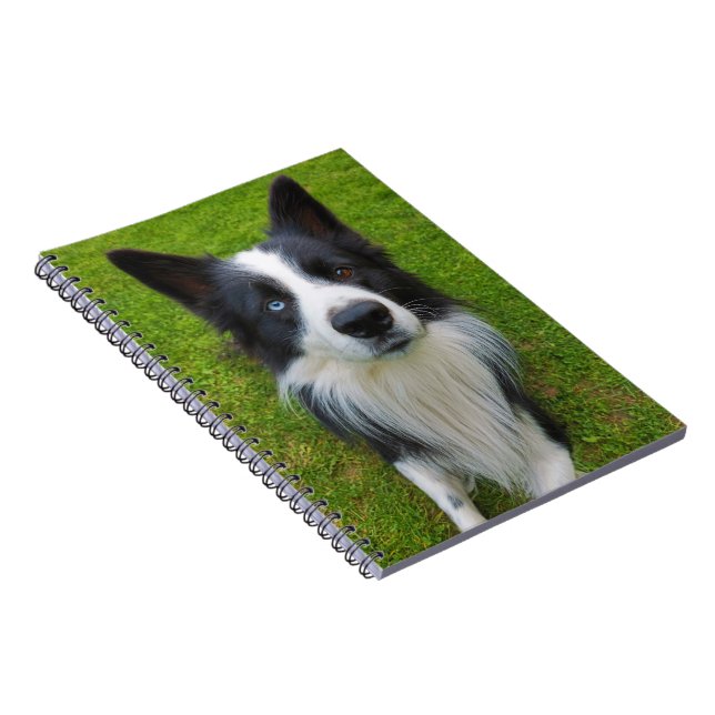 Caderno Espiral Border Collie (Lado Direito)