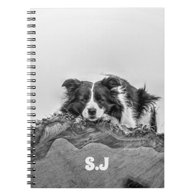 Caderno Espiral Border Collie (Frente)