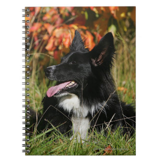Caderno Espiral Border collie que arfa o estabelecimento