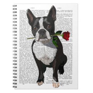 Caderno Espiral Boston Terrier com Rosa em Boca