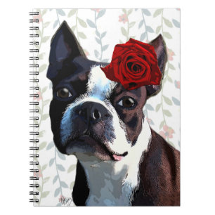 Caderno Espiral Boston Terrier com Rosa no cabeçalho 2