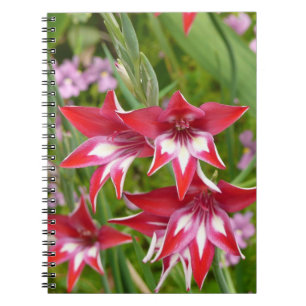 Caderno Espiral Botânica de Verão, Gladiolas Vermelhas e Brancas