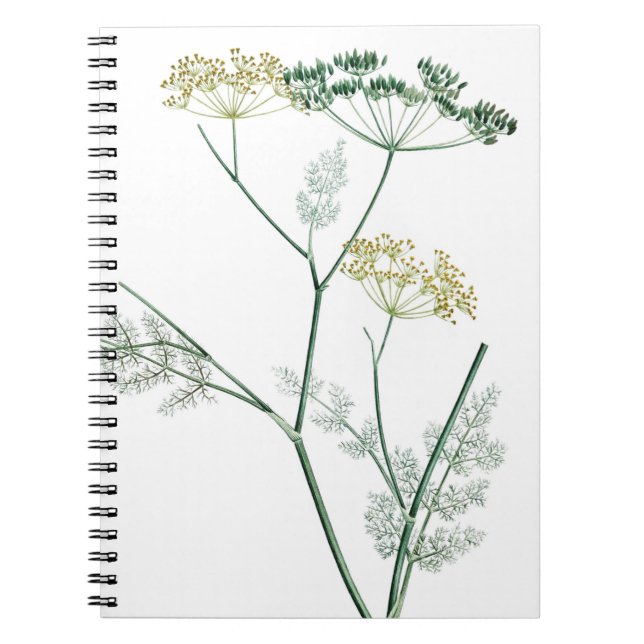 Caderno Espiral Botânico Verde Suave IV (Frente)