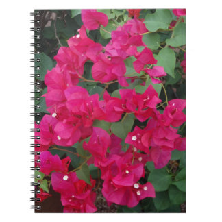 Caderno Espiral Bougainvillea